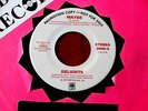 DELIGHTS  MAYBE  RARE  NEAR MINT  RARE PROMO  A & M RECORDS  DOO WOP 45