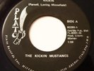 The Kickin Mustangs 