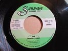 THE FRAGILE LIME fairyland/ I know what it is SABRINA 45 garage psych rock  