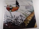 CIRCA SURVIVE Juturna LP ORANGE WHITE HAZE VINYL /2500 *SEALED* anthony green
