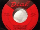 THE DAYBREAKERS Psychedelic Siren / Afterthoughts DIAL GARAGE PSYCH 45