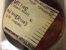 MELVINS Hammerhead Split All Five Variants
