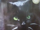 C.C. Catch - Catch The Catch --LP-- Hansa 207 707/A1-B1