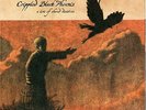 DoLP  CRIPPLED BLACK PHOENIX  