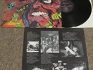 CORROSION OF CONFORMITY Animosity LP HEAVY THRASH METAL COC Septic Death INSERT
