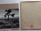 U2 PROGRAMME THE JOSHUA TREE EUROPEAN TOUR 1987 PROGRAM BOOK + ENVELOPPE