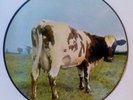 Pink floyd - atom heart mother, picture disc in ex+ condition.