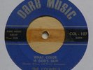 THE COLWELLS COLWELL BROTHERS WHAT COLOR IS GOD'S SKIN/WHICH WAY AMERICA? 7