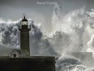 CROSBY,DAVID-LIGHTHOUSE  (US IMPORT)  VINYL LP NEW