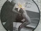 Madonna Erotica Picture Disc LP   Promo Near Mint Pic