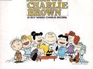 Sigla Cartoon-Arriva Charlie Brown Johnny Dorelli 45 Giri EX++ 1970