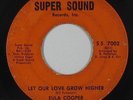 Northern Soul 45 - Eula Cooper - Let Our Love Grow Higher - Super Sound - mp3