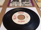 The Koobas 45 & scarce picture sleeve, Take me for a Little While/Somewhere in..