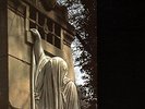 Within The Realm Of A Dying Sun [VINYL] Dead Can Dance Vinyl