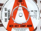 One Hit Wonders - Hey Hey Jump Now - Garage Mod  STOMPER  Demo 1972 HEAR