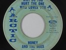 Northern Soul 45 - Honey & The Bees - Why Do You Hurt The One - Arctic - mp3