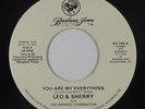 Modern Soul Boogie 45 - Leo & Sherry - My Everything - Barbara Jean - VG+ mp3