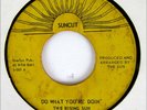 THE RISING SUN 45 Do What You're Doin' /One Night SUNCUT Rc HEAR Miami Funk SOUL