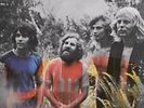 Tamam Shud - Evolution [LP]  (US IMPORT)  VINYL LP NEW
