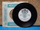 TERRY TEEN Orchids Mean Goodbye / Just... 45rpm Scarce Teen Rocker WARWICK HEAR