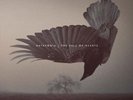 KATATONIA - The Fall of Hearts  DLP