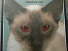 Blink 182 Cheshire Cat  Red Eyes Vinyl Shrink 96