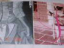 Lambchop ?– I Hope You're Sitting Down -City Slang ?– 04953-1, 2 x LP, Gatefold,