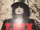 T.rex The Slider Vinyl EMI 1972 Original Marc Bolan