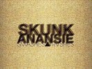 SKUNK ANANSIE-SMASHES AND TRASHES-VINYL LP4  NEU