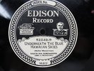 South Sea Serenaders - EDISON 52249 - ELECTRIC - Underneath Blue Hawaiian Skies