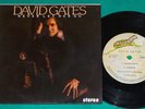 David Gates ?- Never Let Her Go BRAZIL ONLY 4 track 7