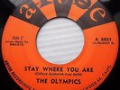 the OLYMPICS doowop 45 STAY WHERE YOU ARE b/w DOOLEY on ARVEE in vg++ cond FM210