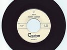 DOO WOP 45 JOHNNY FLAMINGO/GRP  