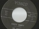 Rare Texas Garage-The Visions- Vimco 21- Humpty Dumpty / You Won't See Me-LISTEN