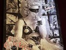Madonna - Erotica - 20th Anniversary - Limited Edition - Picture Disc