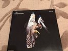 Courteeners Vinyl Falcon