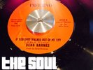 DENA BARNES - IF YOU EVER WALKED OUT OF MY LIFE - 70's PRESS - NORTHERN SOUL
