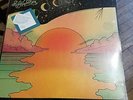 Ryley Walker Golden Sings That Have Been Sung Deep Cuts Edition Vinyl LP Record