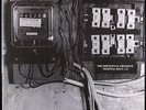 NOCTURNAL EMISSIONS - Fruiting Body L.P. - LP - Sterile Records