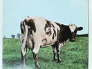 PINK FLOYD Atom Heart Mother LP Vinyl 1970 Harvest SKAO 382 K-310
