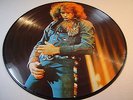 Neil Diamond - His 12 Greatest Hits  12'' Picture Disc Vinyl Record