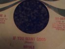 'If You Want Good'/the royals