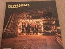 BLOSSOMS 12