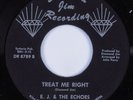 Northern Soul 45 E.J. & ECHOES Treat Me Right DIAMOND JIM VG+ HEAR