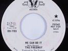 Psych Funk Breaks 45 FREEWAY We Can Do It RAMA RAMA promo HEAR