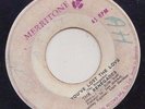 '67 MERRITONE ROCKSTEADY 45 THE RENEGADES YOU'VE LOST THE LOVE/WHY MAKE ME CRY ?