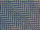 Merriweather Post Pavillion - ANIMAL COLLECTIVE [2x LP]