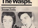 THE WASPS *TEENAGE TREATS/ SHE MADE MAGIC* 1977 PUNK
