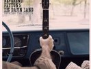 THE REVEREND PEYTON'S BIG DAMN BAND 