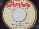 JUNIOR DELGADO - SONS OF SLAVE - UPSETTERS ( ROOTS REGGAE 7 )